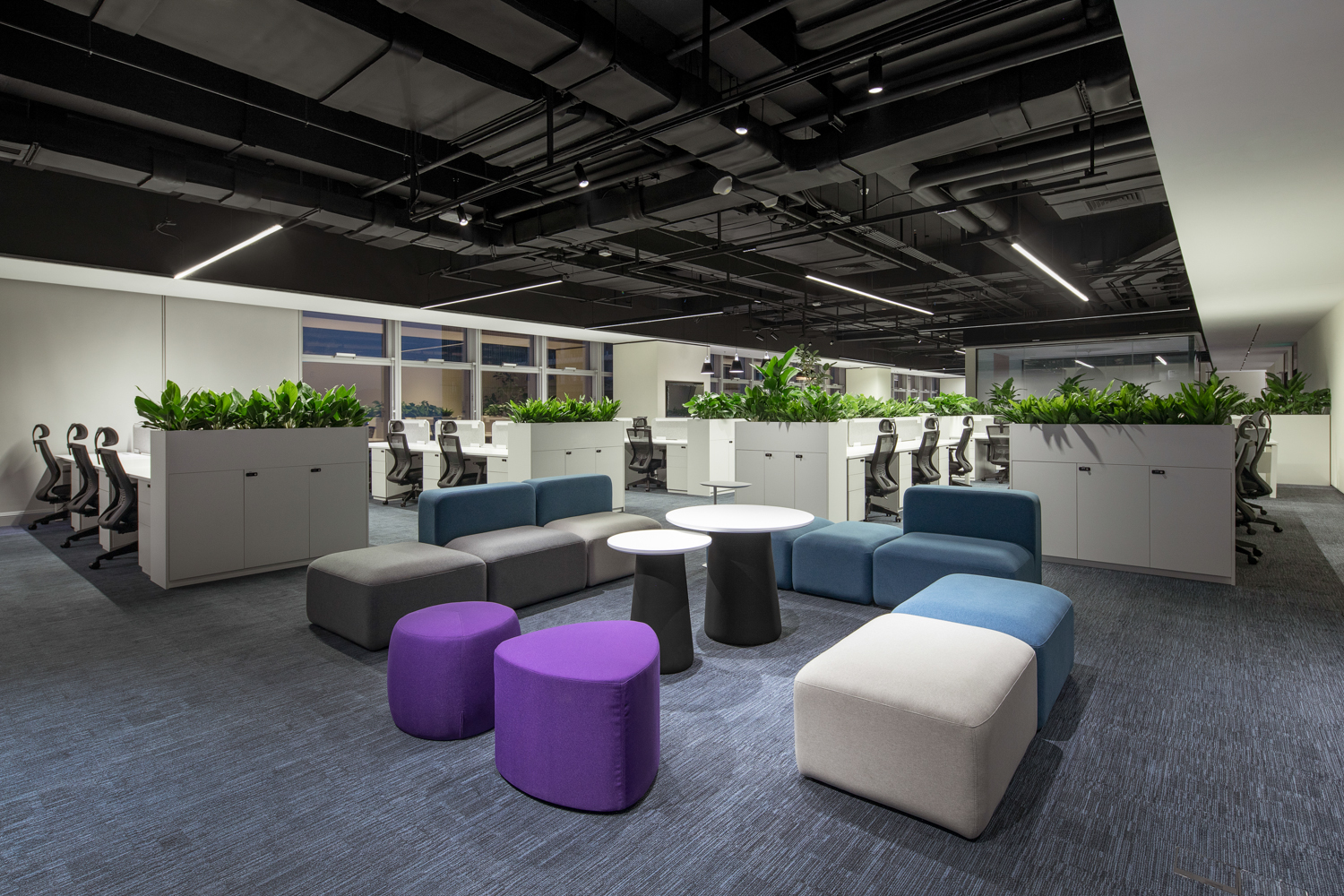 尊龙凯时·(中国区)人生就是搏!