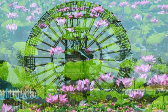 尊龙凯时·(中国区)人生就是搏!